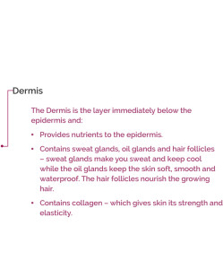 The Dermis Skin layer text