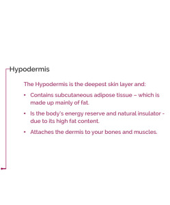 The Hyperdermis skin later text