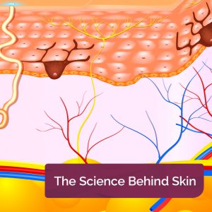 AproDerm the science behind skin page link