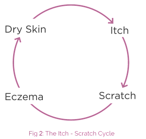 The Itch Scratch Cycle figure 2