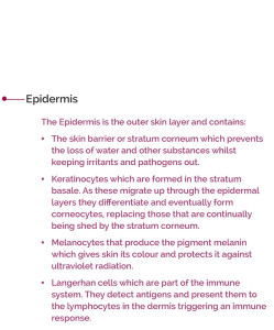 Epidermis text slider