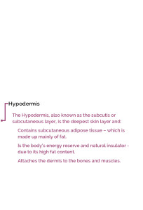 HypoDermis Text