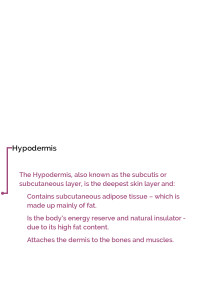 Hypodermis text