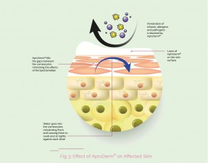 AproDerm Effect on Skin Diagram